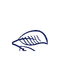 BadLiebenwerdaMineralquellen nature leaf natur pflanze Sticker