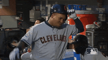 Regular Season Sport GIF by MLB