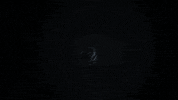 3d glitch GIF by Nico Roxe