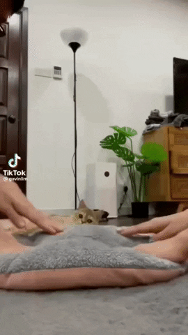 Idari giphyupload GIF