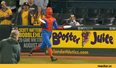 spider man GIF