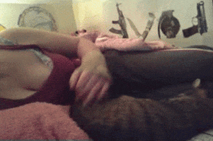 cat kitty GIF