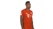 Posing Fc Bayern Sticker by Bundesliga