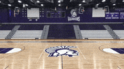 Basketball Warriors GIF by WinonaStateATH