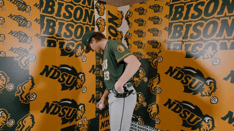 Baseball Bison GIF by NDSU Athletics