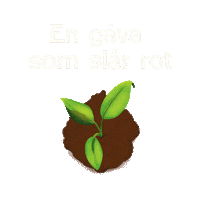 Viskogen trad julklapp välgörenhet plantera träd Sticker