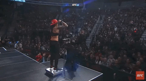 GIF by UFC