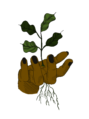 jessicabadofsky giphyupload hand plant grow Sticker