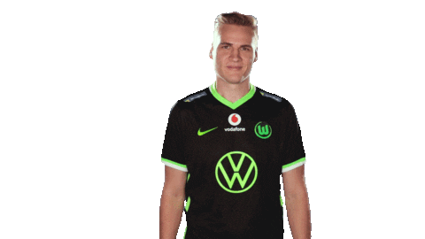 E Sports Sport Sticker by VfL Wolfsburg