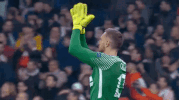 champions league football GIF by UEFA