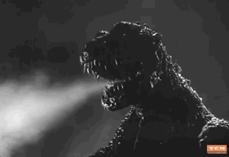 King Of The Monsters Godzilla GIF by Turner Classic Movies