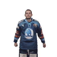 Hockey Applause Sticker by HC Škoda Plzeň