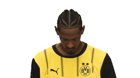 Look Up Borussia Dortmund Sticker by Bundesliga