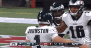 Philadelphia Eagles Football GIF by NFL
