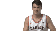 Cnmb Finger Guns Sticker by Carson-Newman Athletics