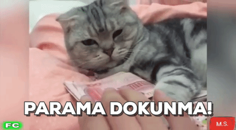 GIF by @Hizliresim