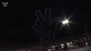 Sport Celebrate GIF by Vanderbilt Athletics