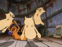 nicksplat GIF