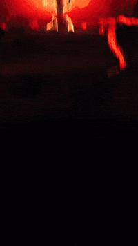 Mike Strangerthingseleven GIF by Youtooz