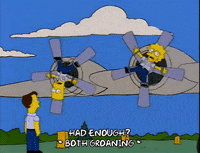 the simpsons episode 25 GIF