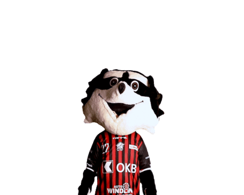 Floorball Swiss Unihockey Sticker by AdAstra Sarnen
