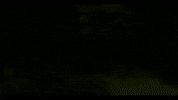 Max Herre Love GIF