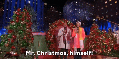 Mr. Christmas