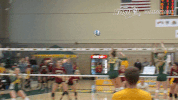north dakota state bison GIF by NDSU Athletics