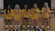 Volleyball Bison GIF by NDSU Athletics