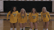 Volleyball Bison GIF by NDSU Athletics