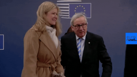 European Union GIF by euronews