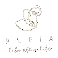 Stars Vida Sticker by Pleia Life