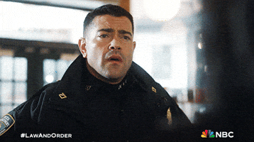 Episode 17 Nbc GIF by Law & Order