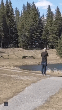 'That Guy Was Just Snoozin': Man Runs From Bear in Banff, Canada