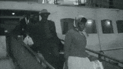 Windrush GIF