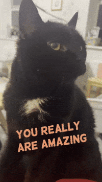 Black Cat Motivation GIF
