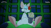 Pinky And The Brain Popcorn GIF by HULU
