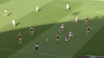 Celebration Goal GIF by Port Adelaide FC