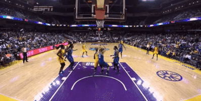 game 3 basketball GIF by WNBA