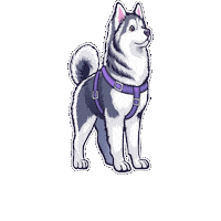 Siberianhusky Sticker by 4fluffy.shop