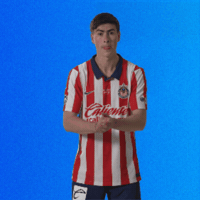 Gonzalez Vamos GIF by Chivas Oficial