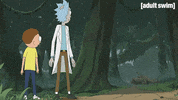 Season 3 Episode 10 GIF by Rick and Morty
