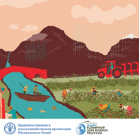 United Nations GIF by FAO