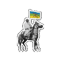 Morocco Amazigh Sticker