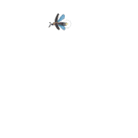 Night Flying Sticker by Lara Paulussen