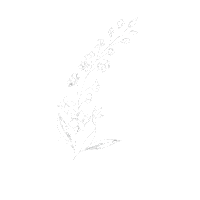 Flowerpower Sticker