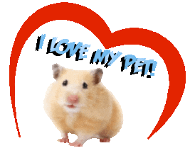 Guinea Pig Love Sticker