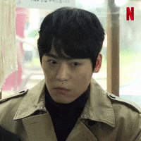 Netflix Bustednetflix GIF by Busted!