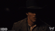copa mundial westworld hbo GIF