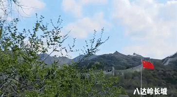 Trees Bloom by Reopened Section of Great Wall as China's Tourism Sites Return to Normal